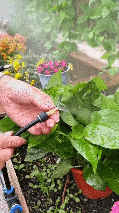 🔥2026 HOT SALE 49% OFF💗 360° Curved Garden Automatic Irrigation System